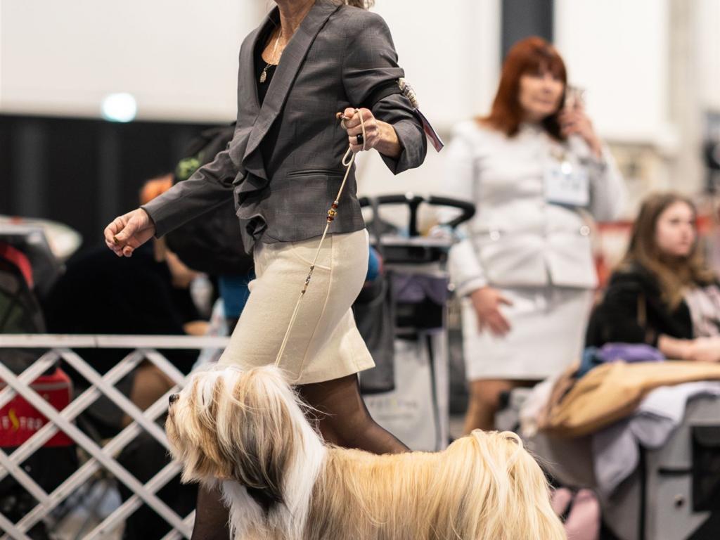 Fotos-Ausstellungen-HJCH, HCH Araki Mystical Illusion - AMI