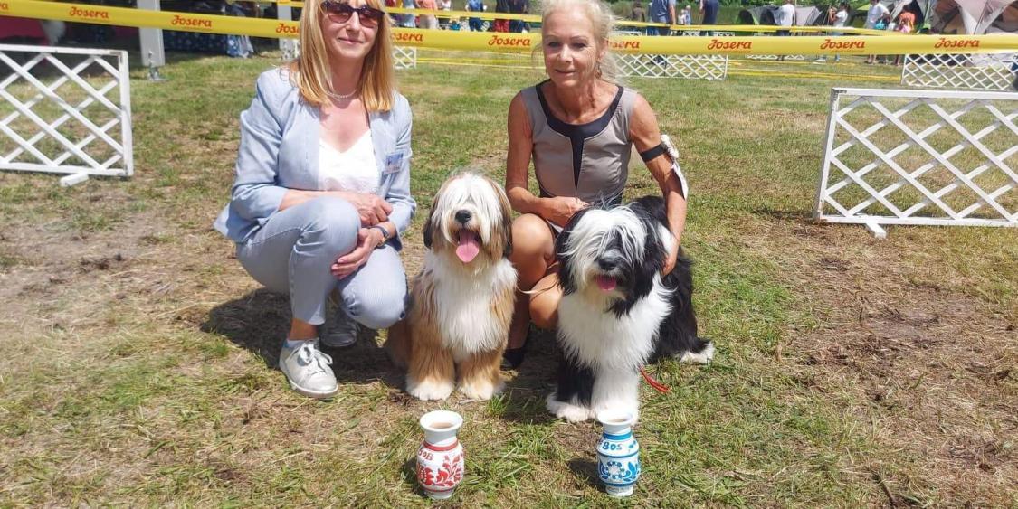 Fotos-Ausstellungen-HJCH, HCH Araki Mystical Illusion-AMI 10