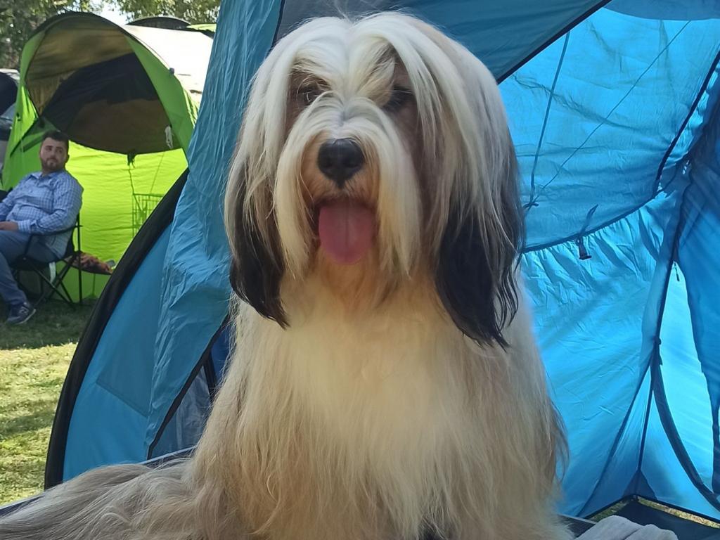 Fotos-Ausstellungen-HJCH, HCH Araki Mystical Illusion-AMI 10