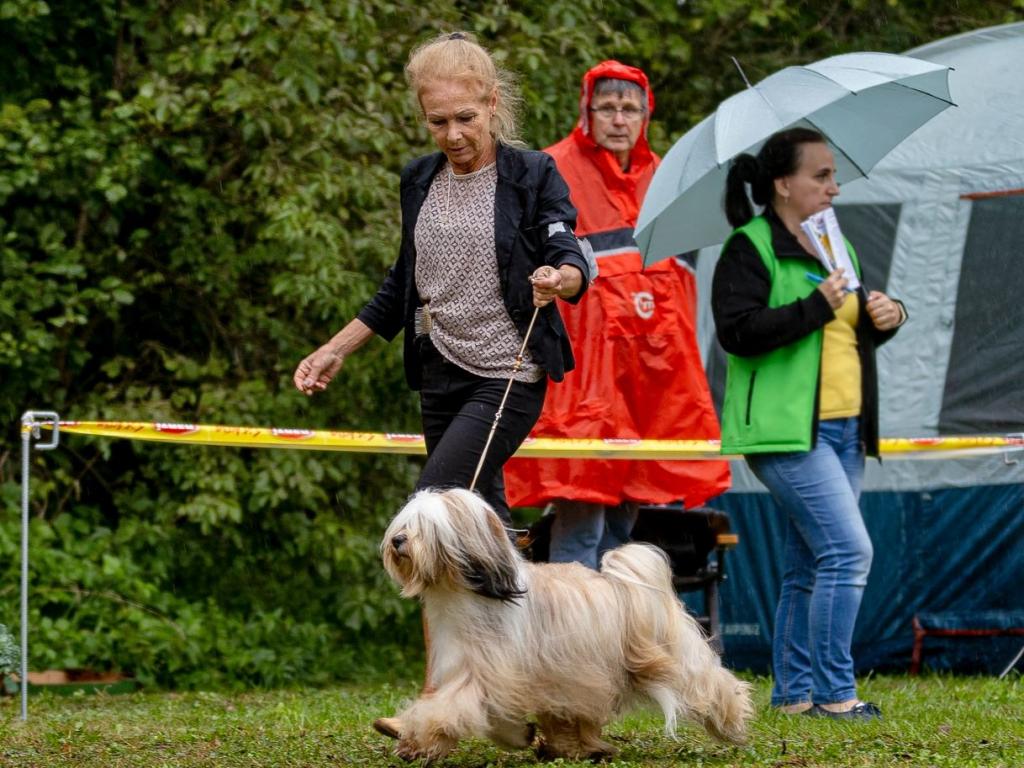 Fotos-Ausstellungen-HJCH, HCH Araki Mystical Illusion-AMI 3