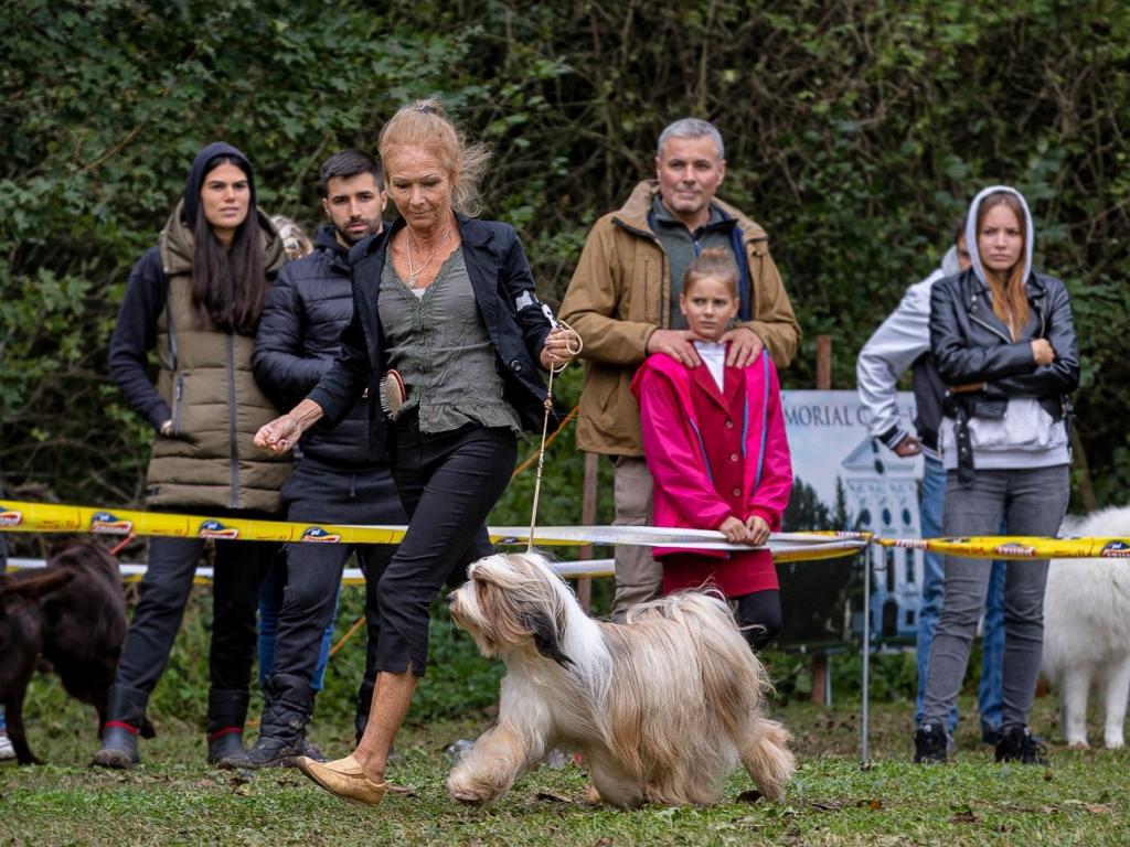 Fotos-Ausstellungen-HJCH, HCH Araki Mystical Illusion-AMI 4