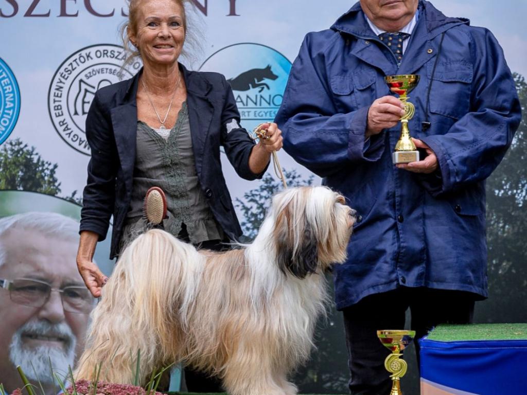 Fotos-Ausstellungen-HJCH, HCH Araki Mystical Illusion-AMI 5