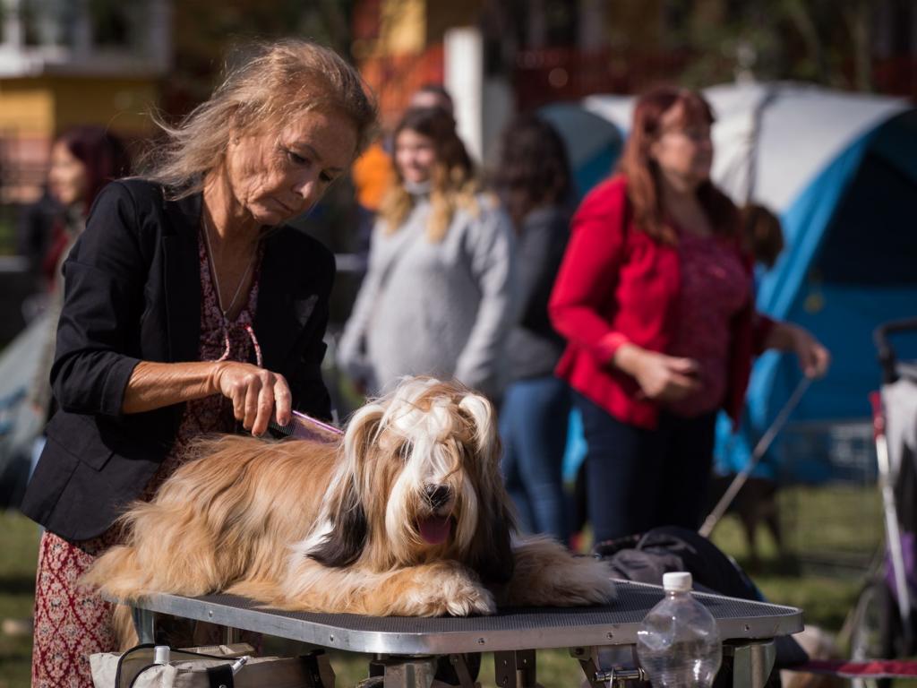 Fotos-Ausstellungen-HJCH, HCH Araki Mystical Illusion-AMI 6