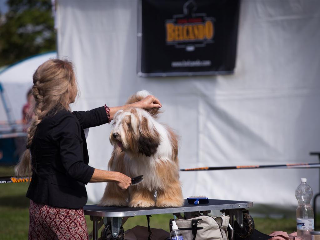 Fotos-Ausstellungen-HJCH, HCH Araki Mystical Illusion-AMI 7