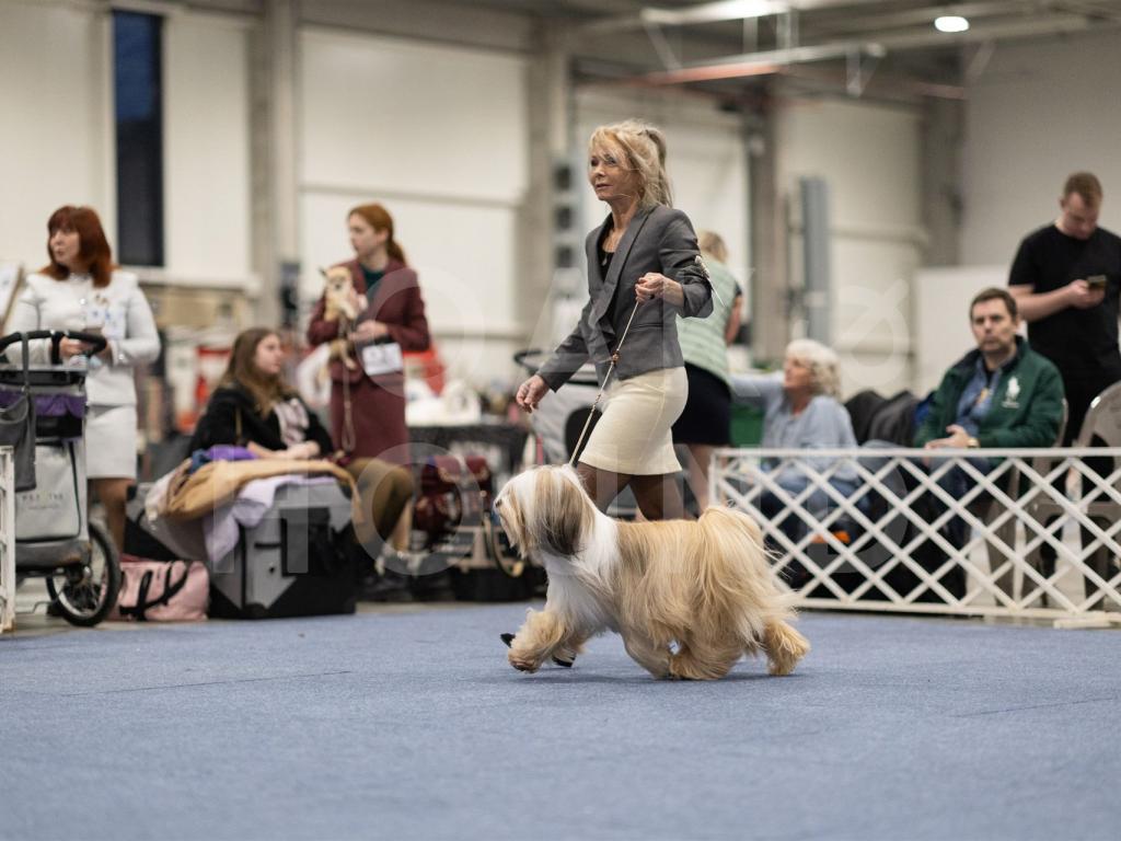 Fotos-Ausstellungen-HJCH, HCH Araki Mystical Illusion-AMI 9