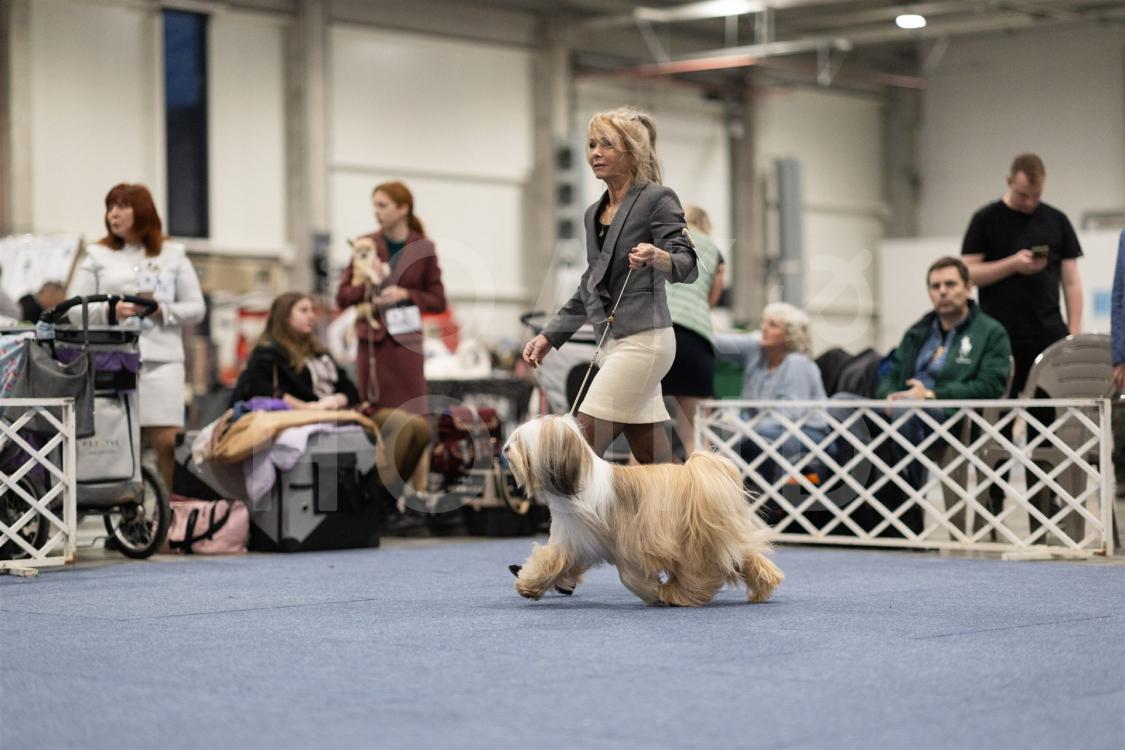 Fotos-Ausstellungen-HJCH, HCH Araki Mystical Illusion-AMI 9