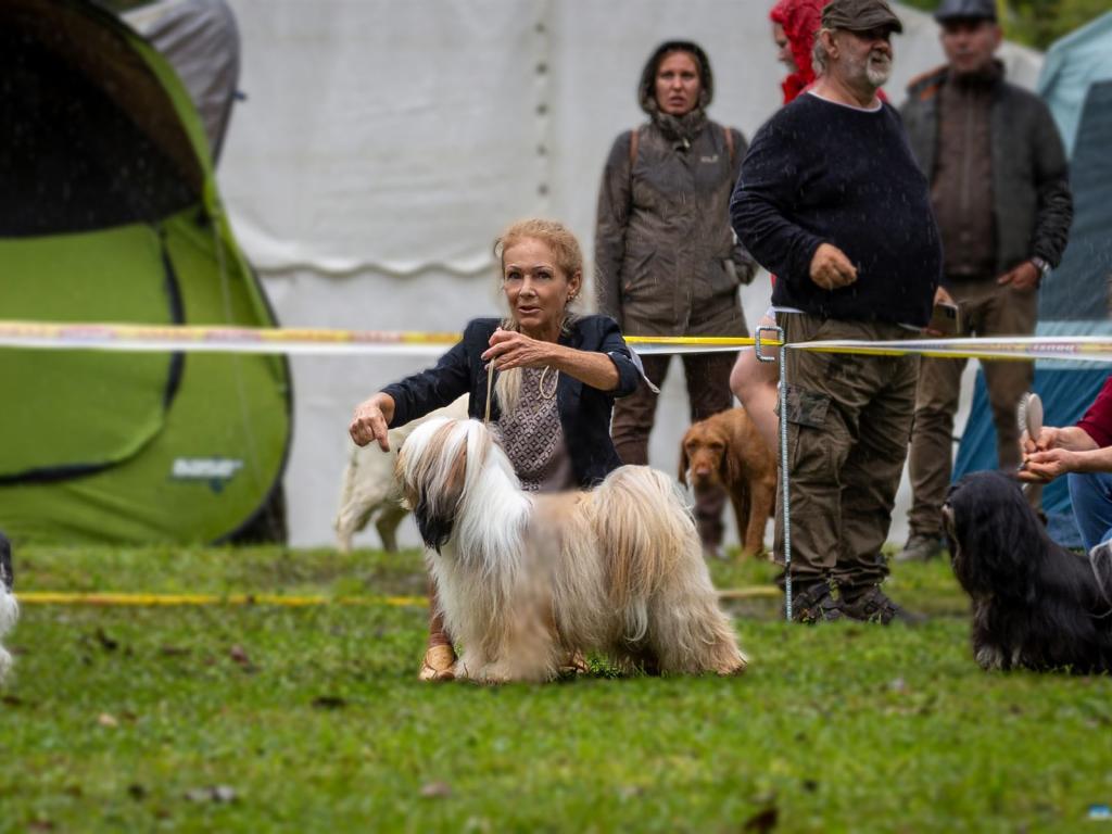 Fotos-Ausstellungen-HJCH, HCH Araki Mystical Illusion-AMI 9