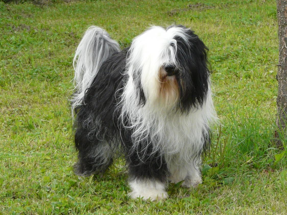 TinghsaBells_TinsaUndManu_021