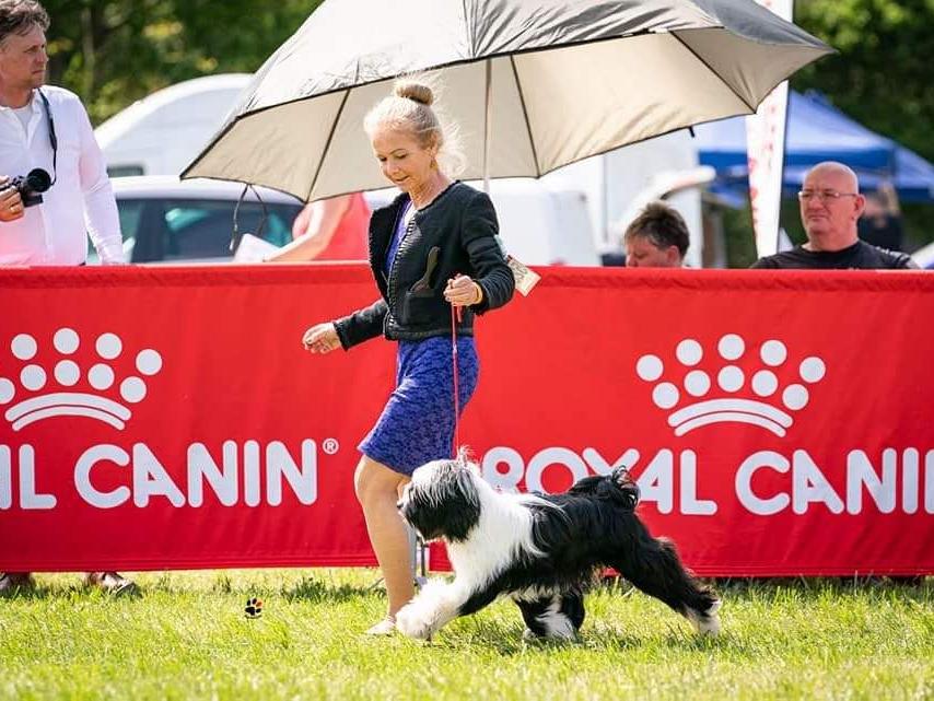 Tinghsa Bells It Girl 10