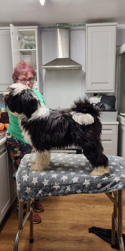 Tinghsa Bells Johnny B. Goode at Araki 02