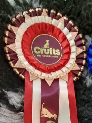 Tinghsa Bells Johnny B. Goode at Araki 07