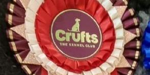 Tinghsa Bells Johnny B. Goode at Araki 07