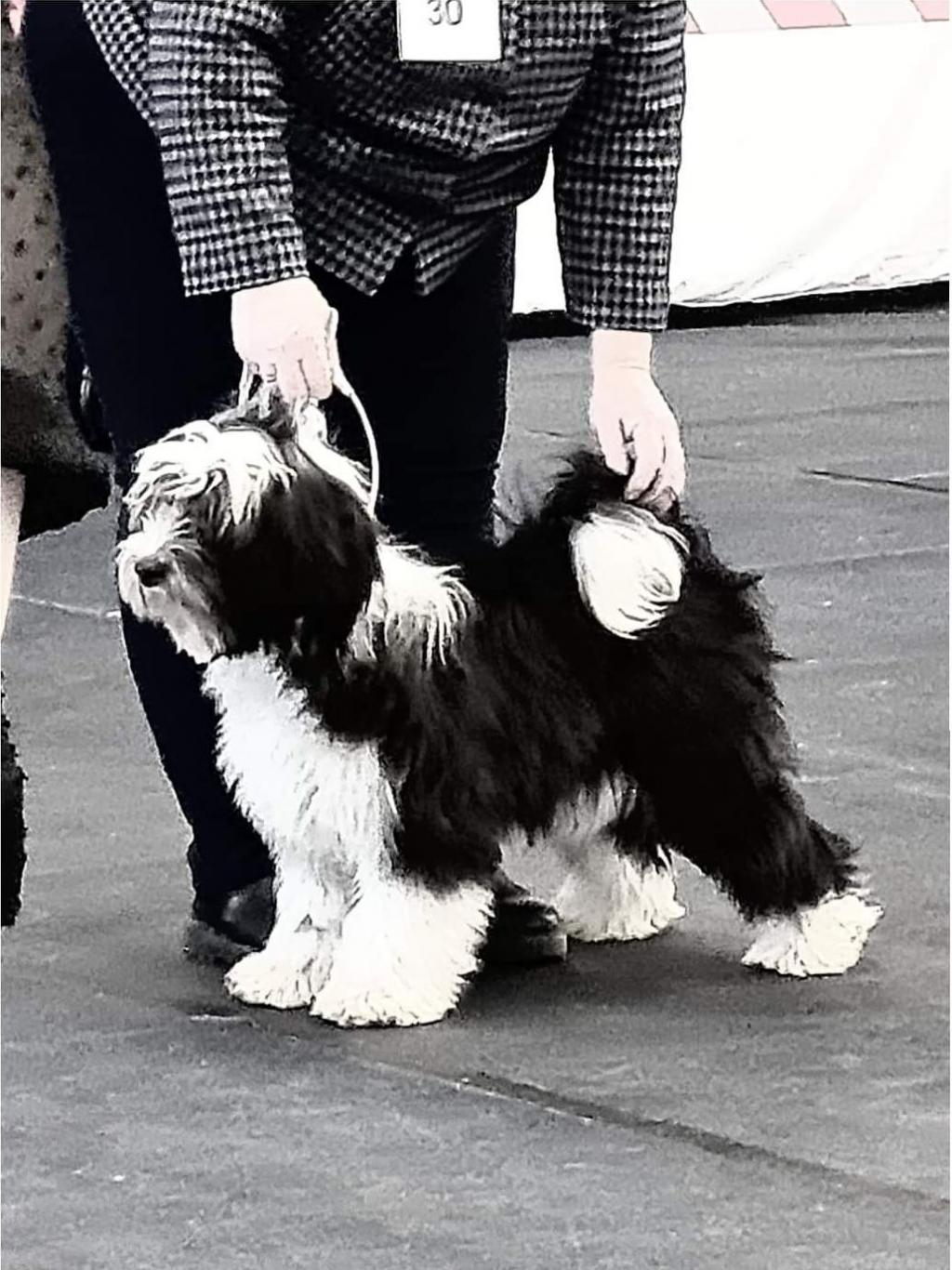 Tinghsa Bells Johnny B. Goode at Araki 08