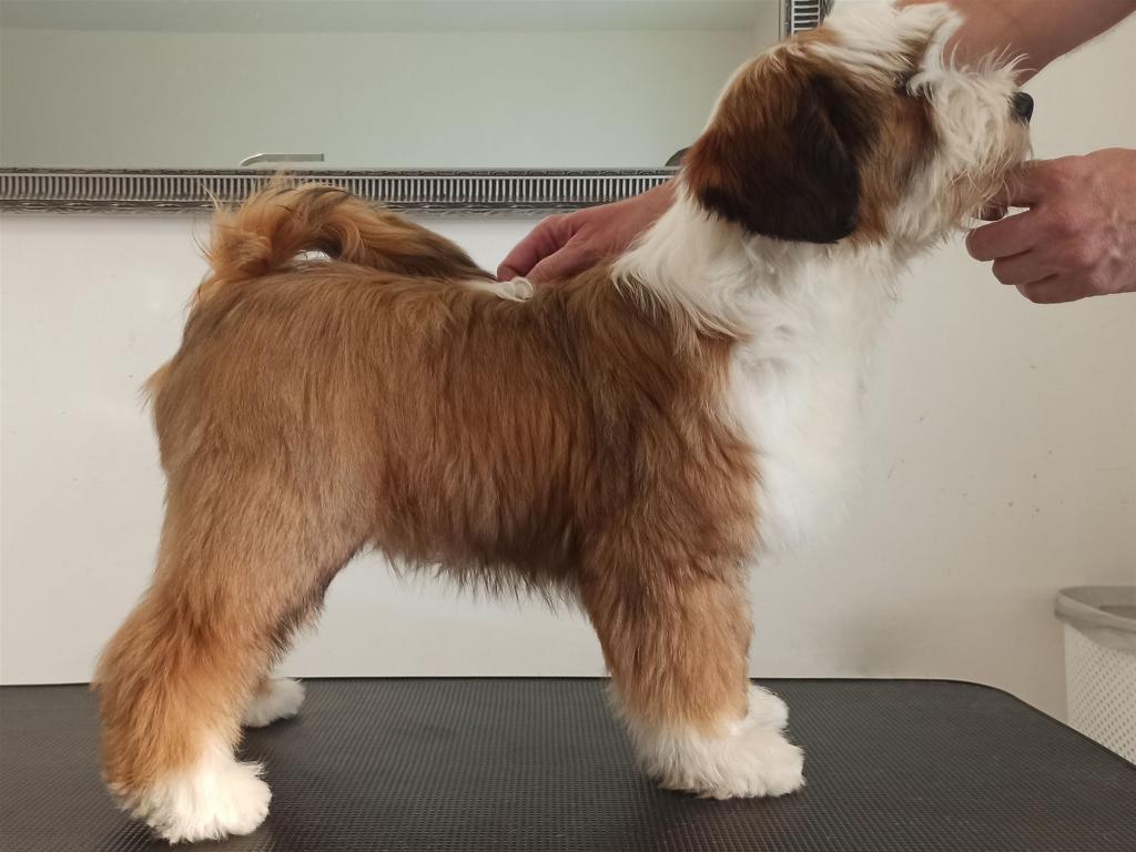 IMG_20220108_132715_3