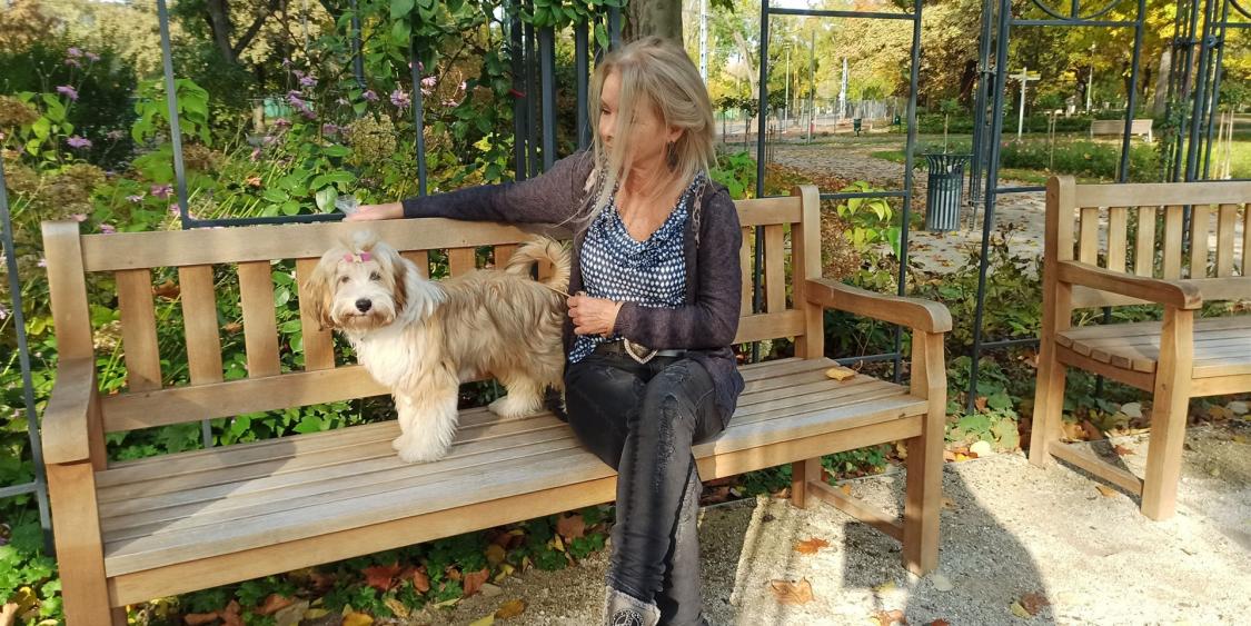 Tinghsa Bells Tibetan Terrier 0333