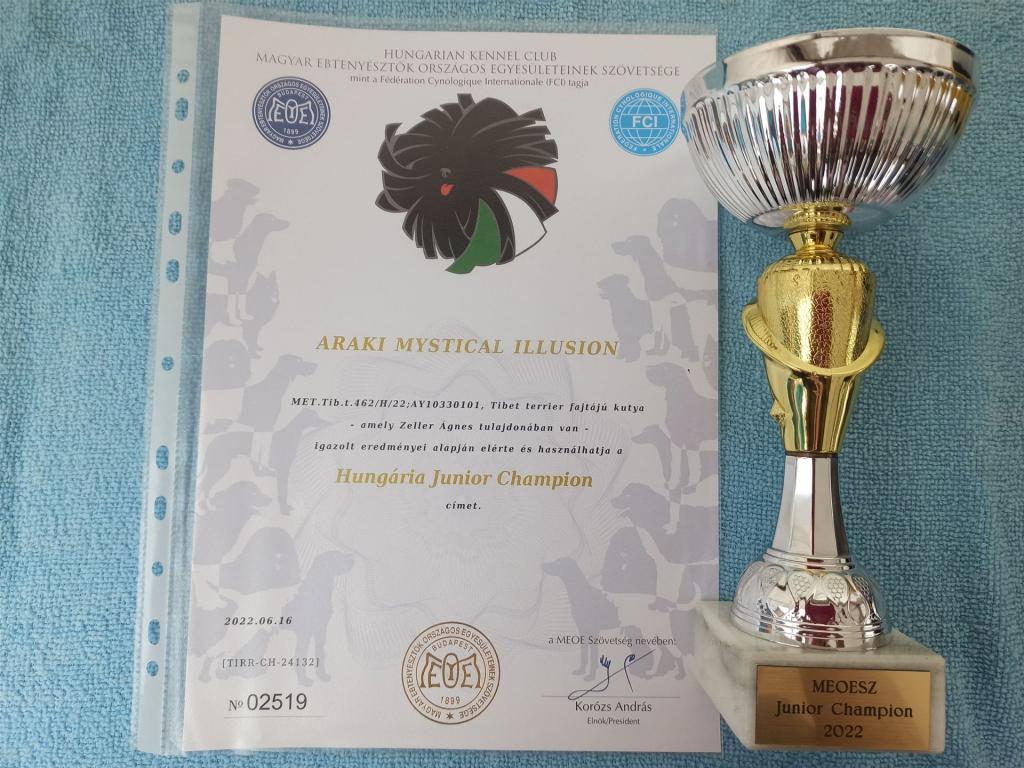 Araki Mystical Illusion 1