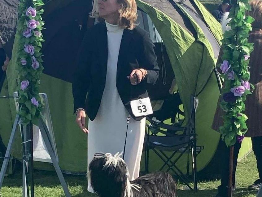 Tinghsa Bells Iggy Pup 10