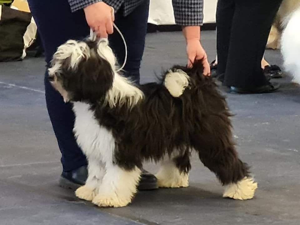 Tinghsa Bells Johnny B. Goode at Araki 1