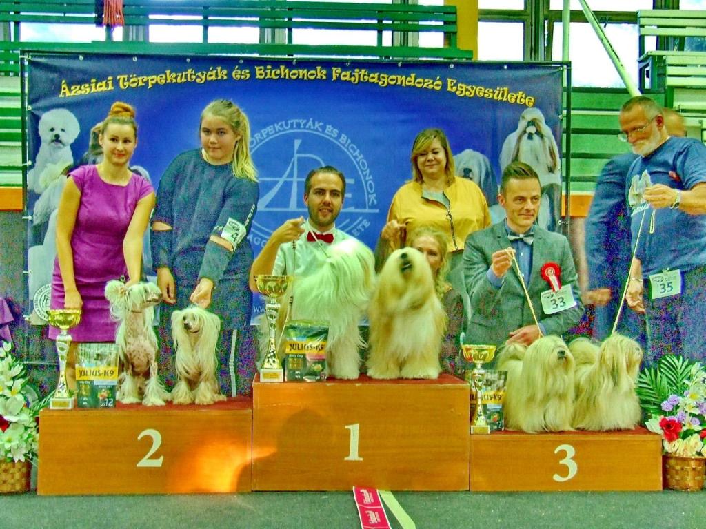 TinghsaBells_Austellung_01_009