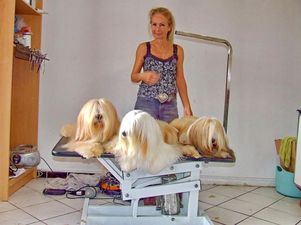 TinghsaBells_Austellung_01_021