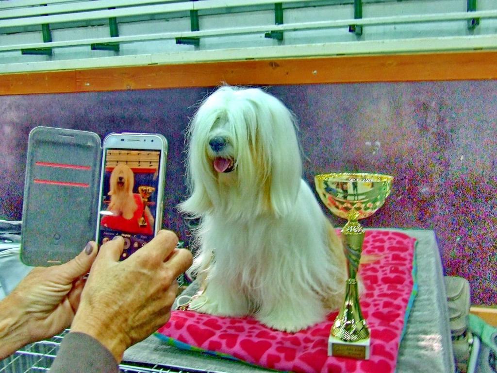 TinghsaBells_Austellung_01_029