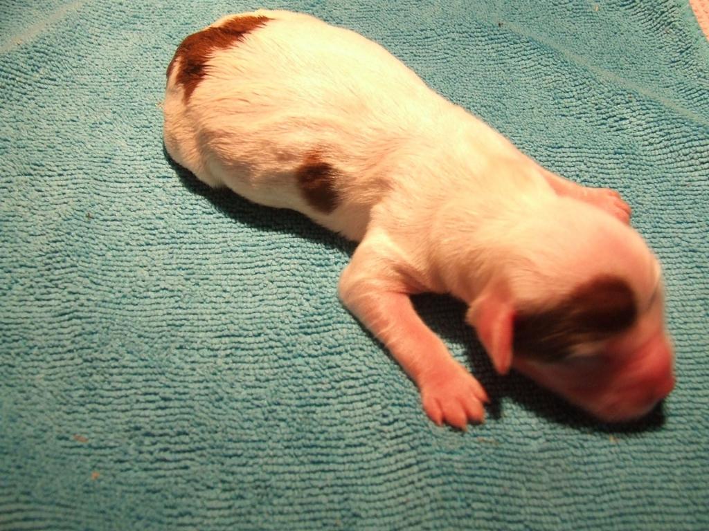 Tinghsa Bells Happy Hour Non Stop Monty1