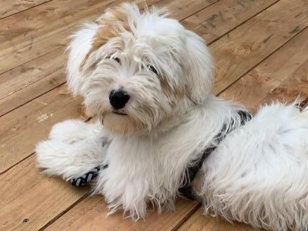 TB Happy Hour Nonstop - Monty 01