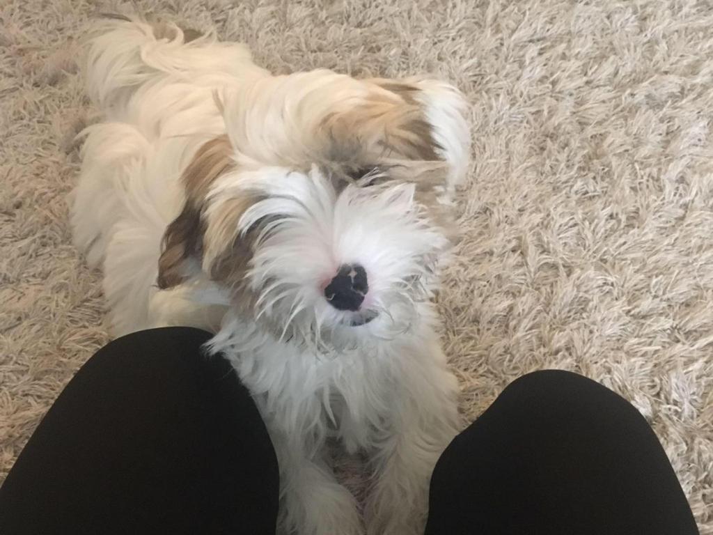 TB Hello Dolly - Mano 01