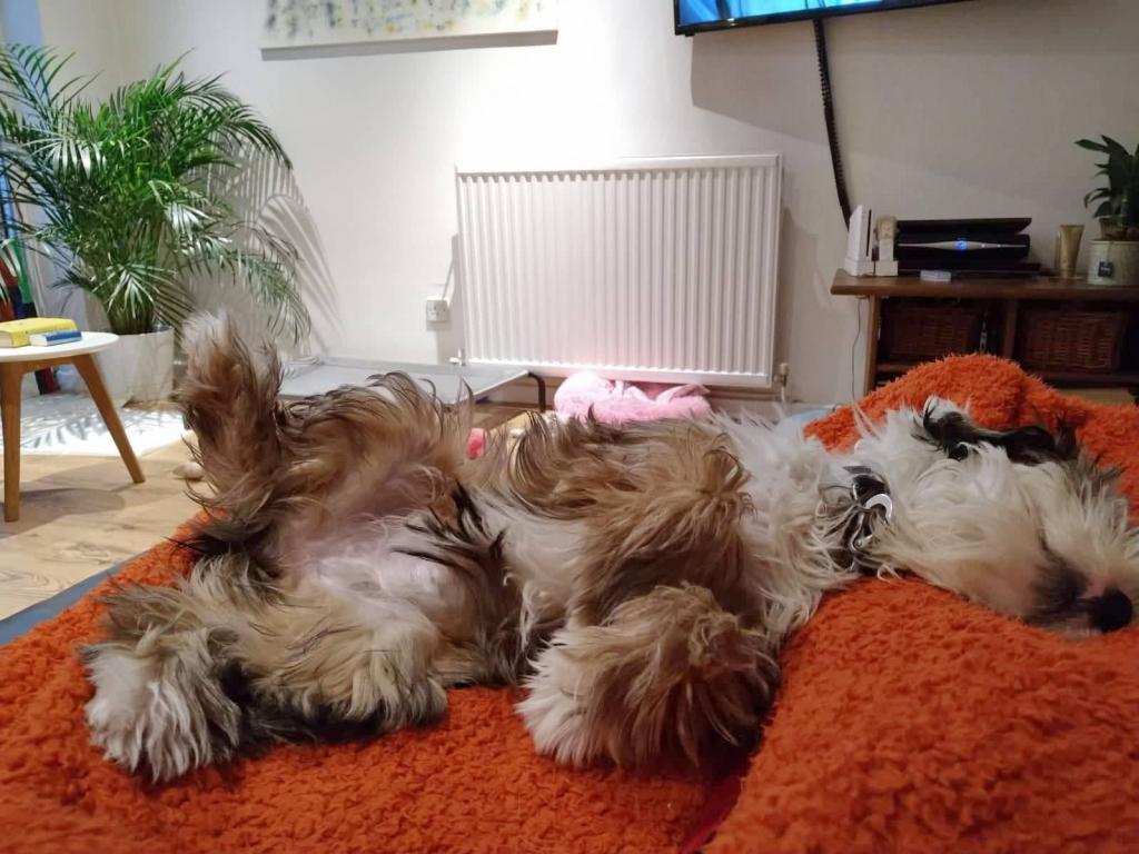 TB Holy Moly - Gi-Gi 05