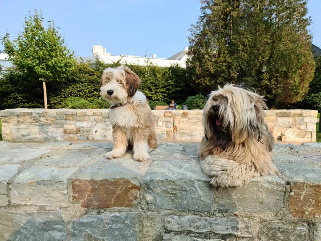 TB Hot Halapenjo - Gatsby 02