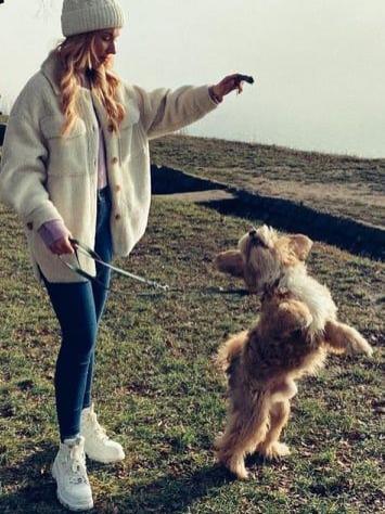 Tinghsa Bells Tibetan Terrier Humusz 3