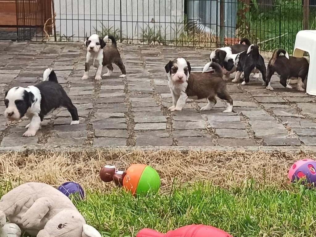 IMG_20230604_172002~2