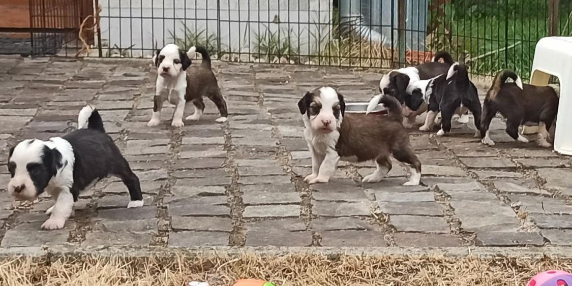 IMG_20230604_172002_4