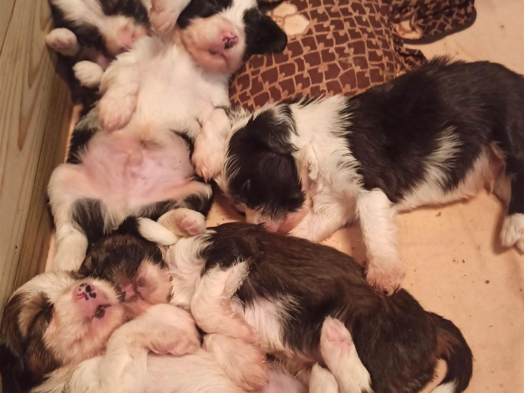 IMG_20230605_085207~3