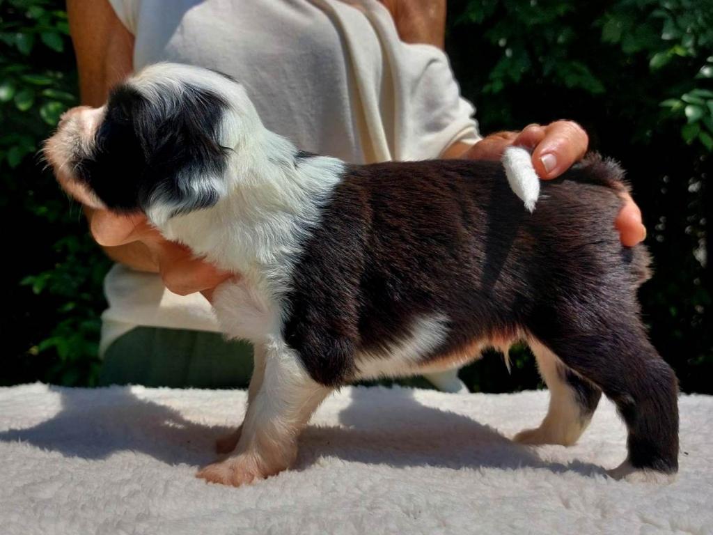 received_793588019059551