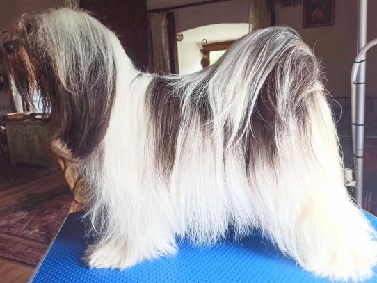 IMG_20230426_123641_7