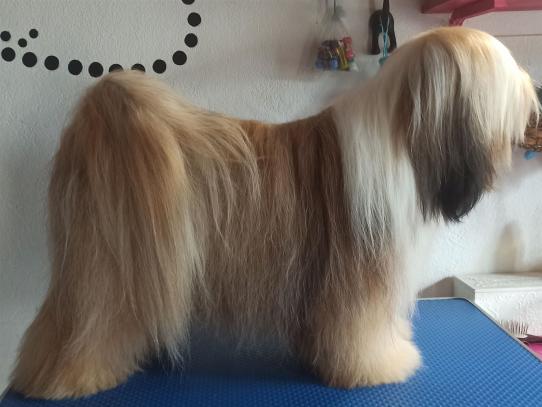 IMG_20240801_132412_2