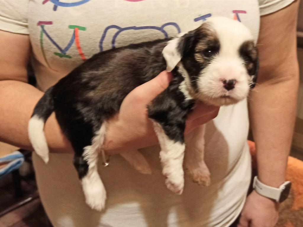 IMG_20260129_171347~2