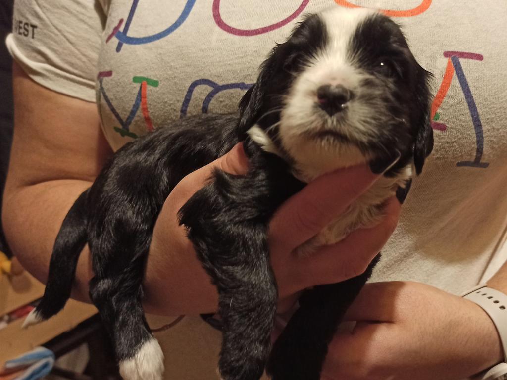 IMG_20260129_171503~2