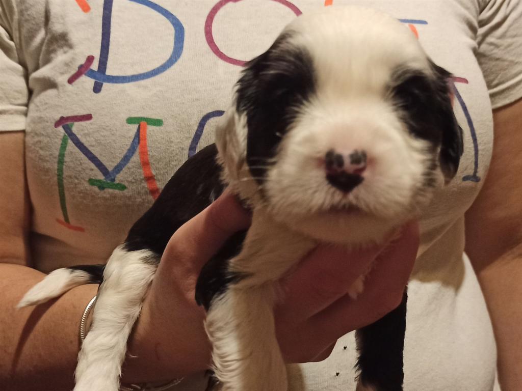 IMG_20260129_171722~2