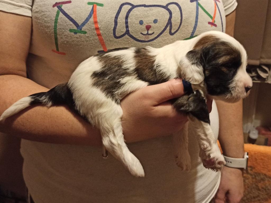 IMG_20260129_171948~2