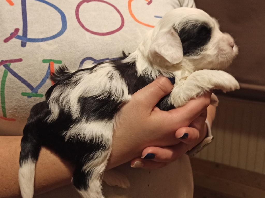 IMG_20260129_172057~2