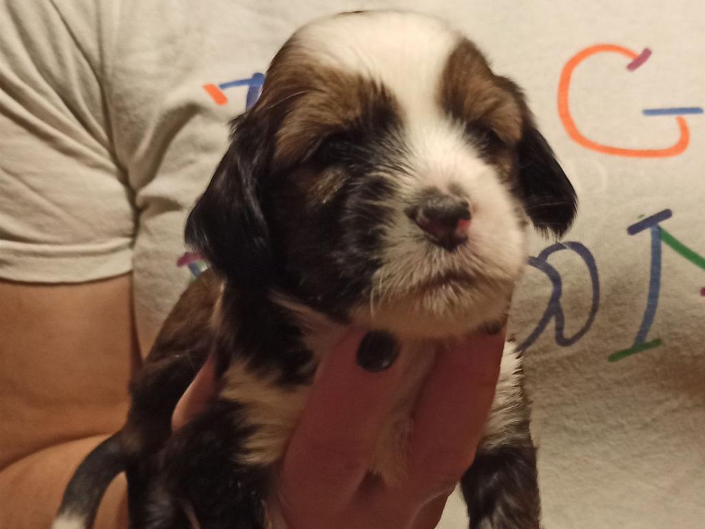 IMG_20260129_172322~2