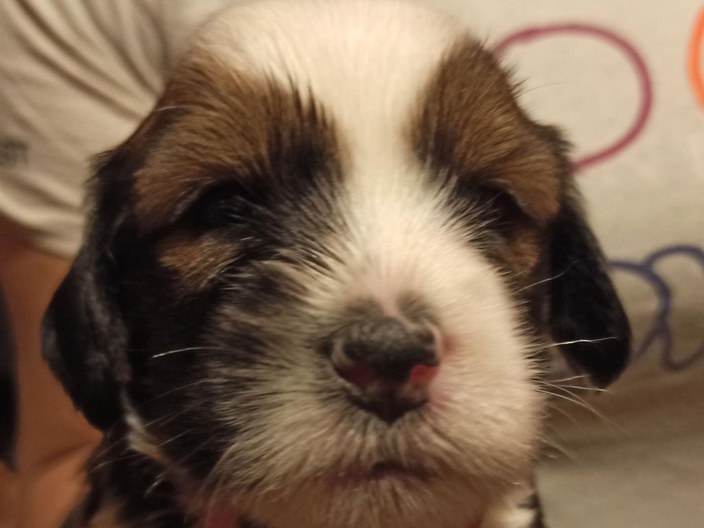 IMG_20260129_172327~2