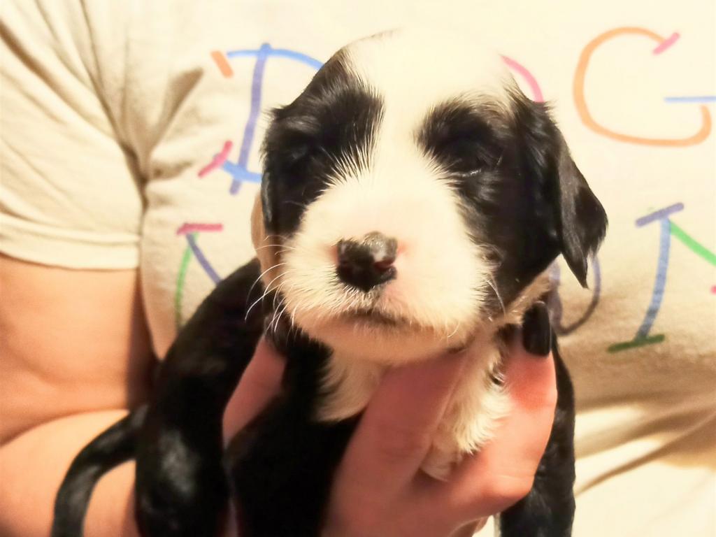 IMG_20260129_172519~2