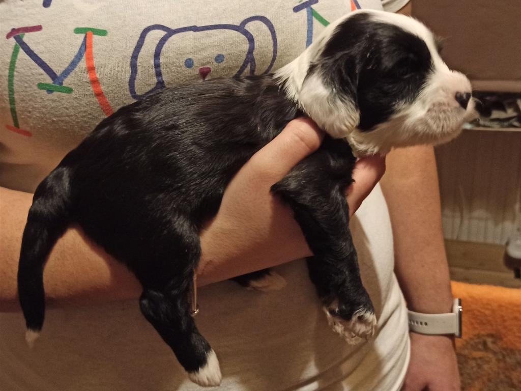 IMG_20260129_172658~2