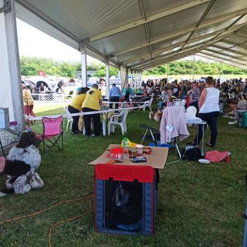 IMG 20210605 161119