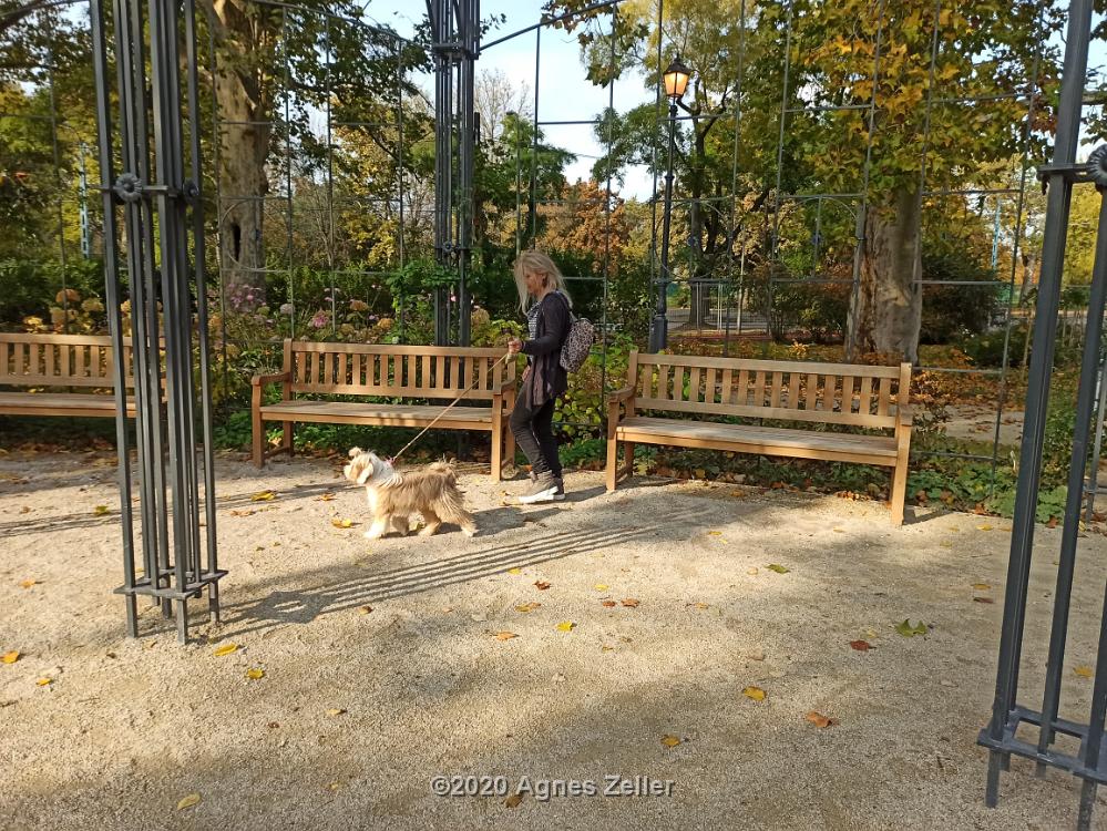 Tinghsa Bells Tibetan Terrier 0332