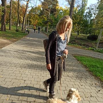Tinghsa Bells Tibetan Terrier 0329